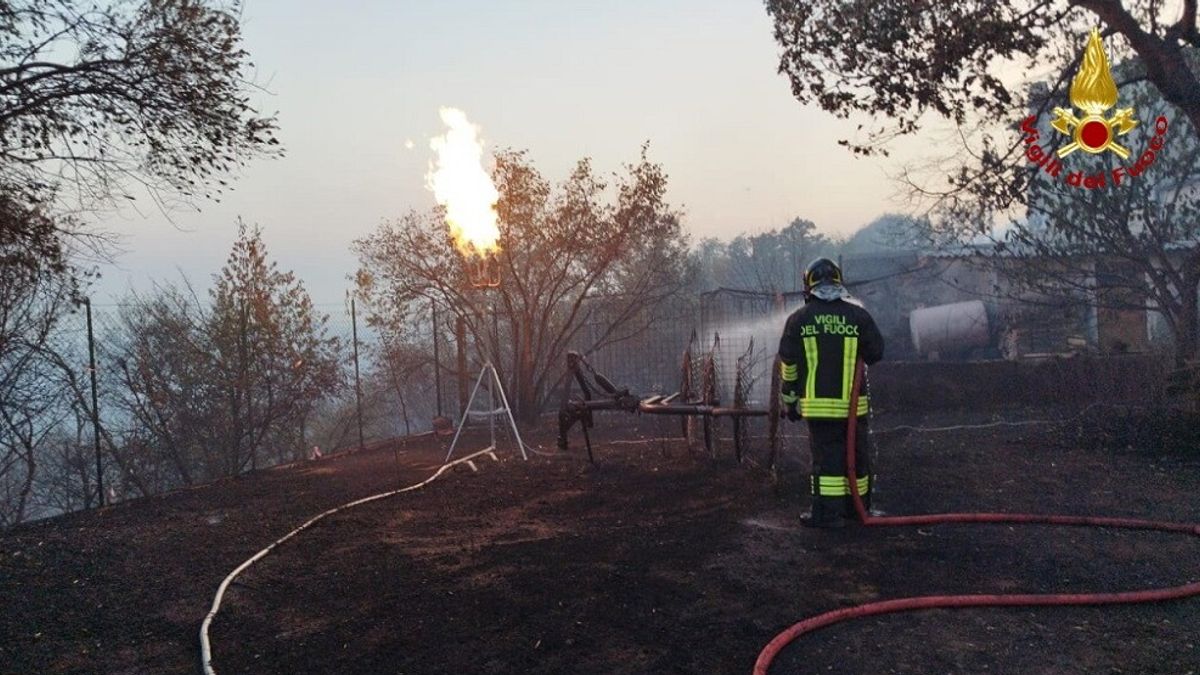 Ancora in azione i vigili del fuoco per cercare di domare gli incendi nel Carso © Ansa