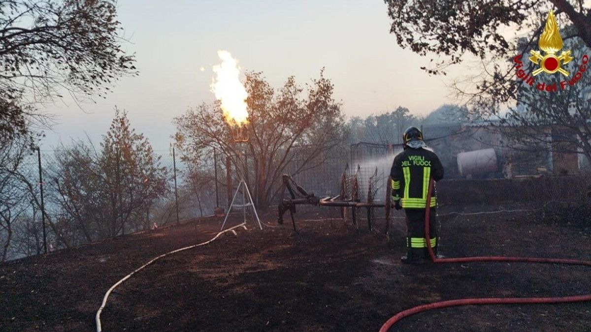 Ancora in azione i vigili del fuoco per cercare di domare gli incendi nel Carso © Ansa