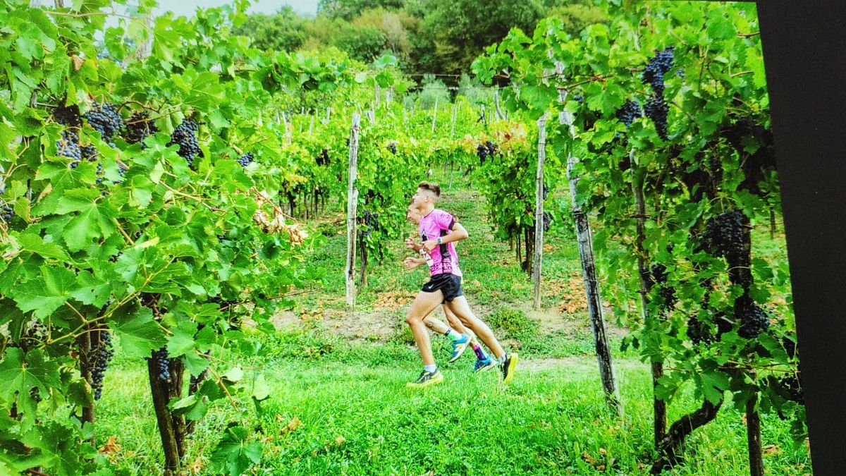  © Moscato di Scanzo Trail