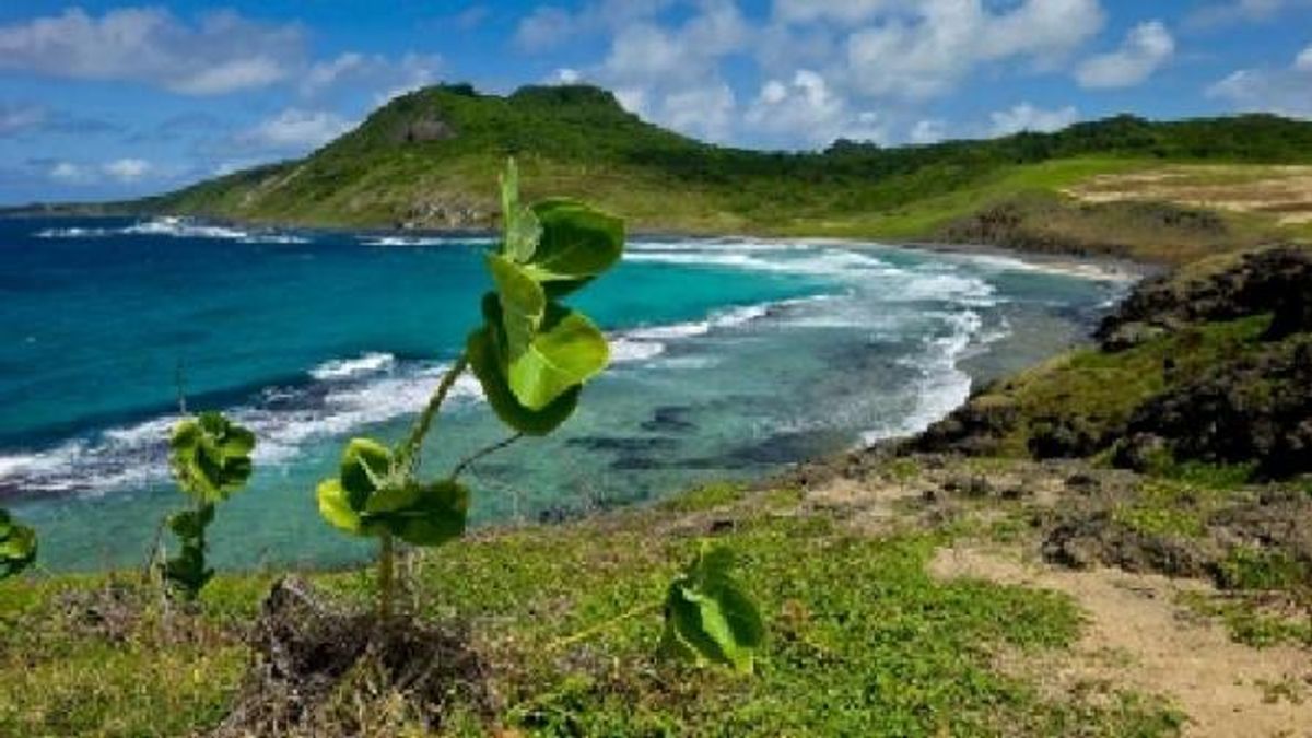  © tripadvisor