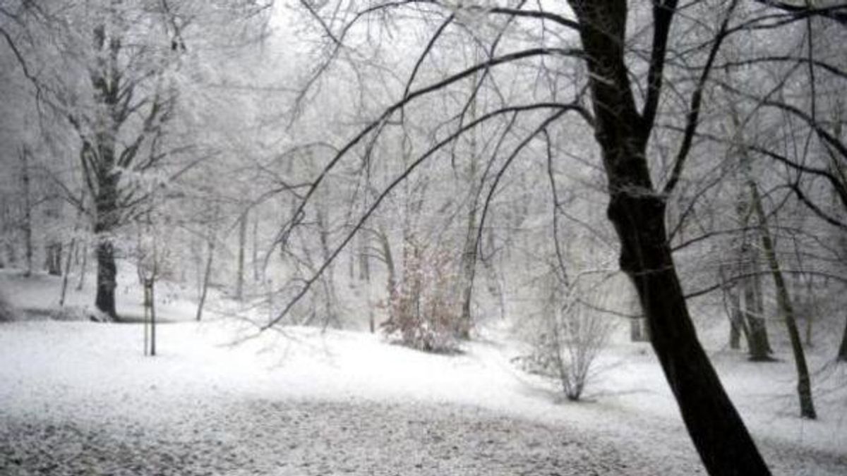 © Meteo.it