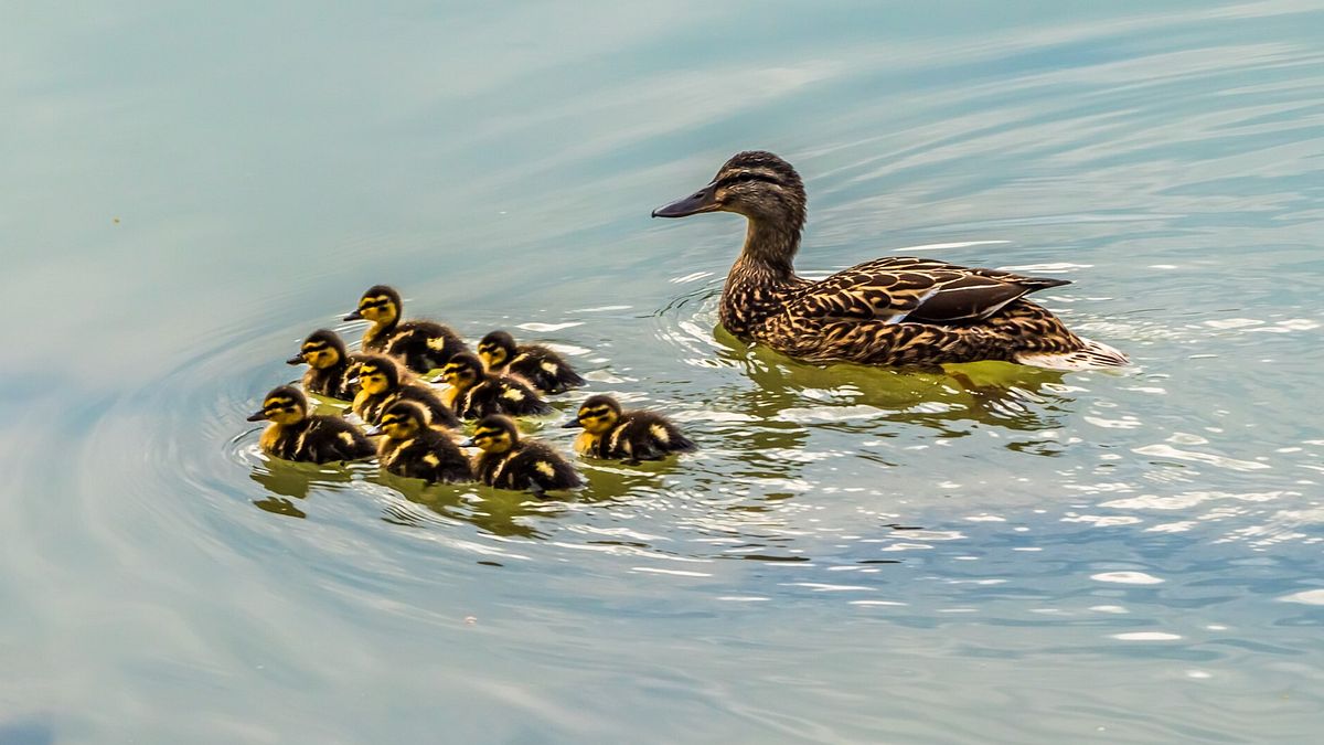  © Istockphoto