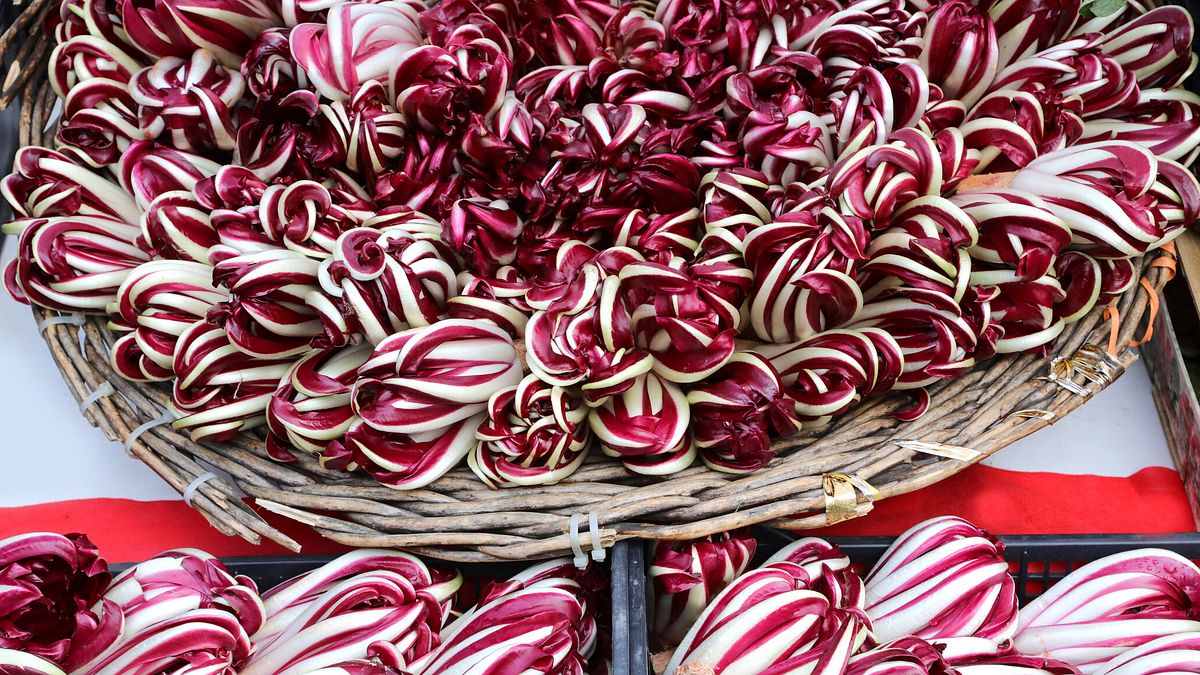 Radicchio Rosso di Treviso © Istockphoto