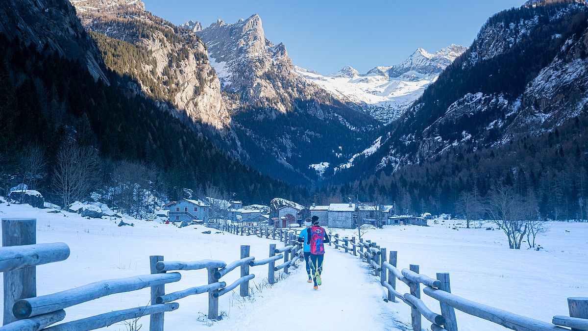  © Giacomo Meneghello