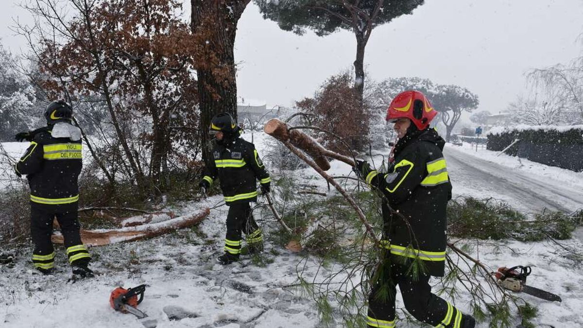  La città di Rieti si è svegliata sotto una coltre di neve. Diversi gli interessi dei vigili del fuoco per gli alberi caduti © IPA 