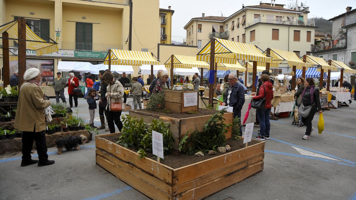  © Ufficio stampa