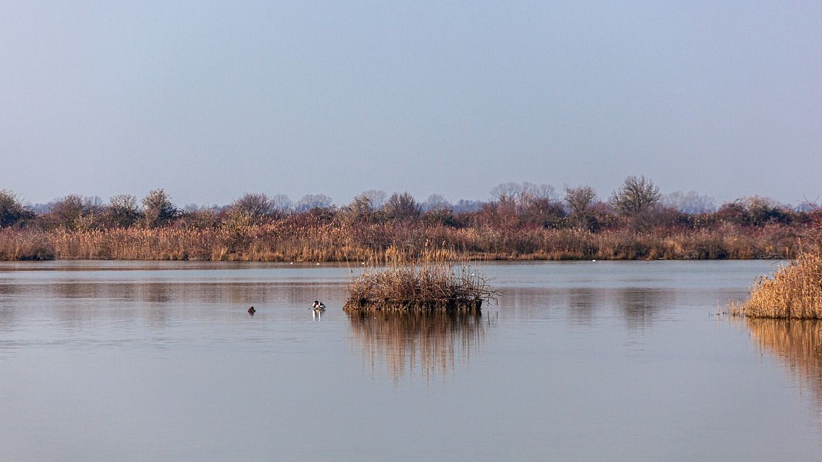 Laguna di Marano © Istockphoto