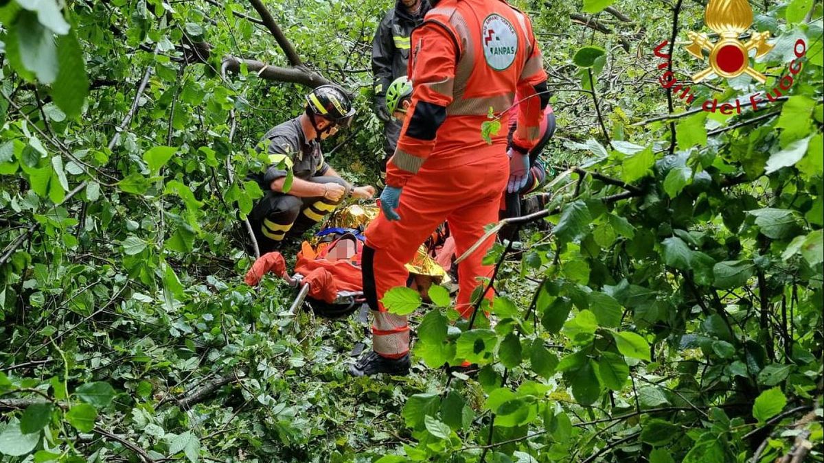  Pianta cade su escursionisti per il temporale nel Comasco © Ansa