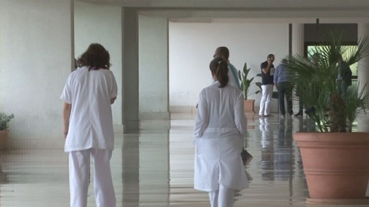 12.00 CONTRATTO MEDICI (CON DICH GRILLO) SRV © Da video