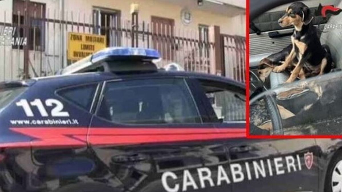  © Carabinieri