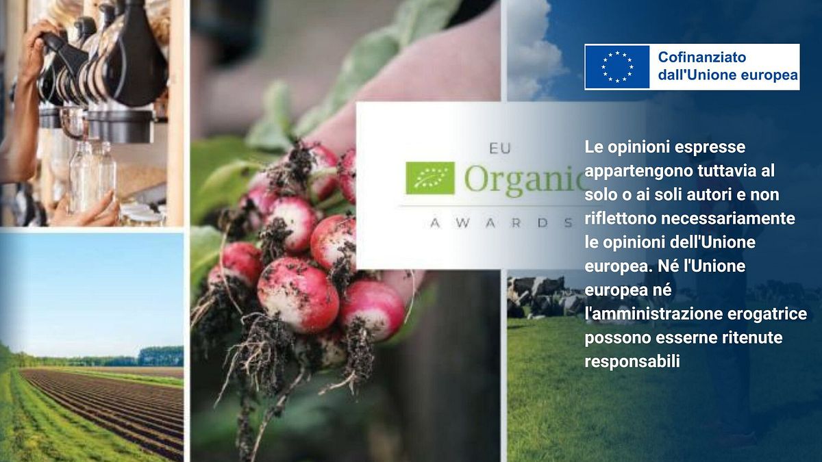  © Commissione Ue