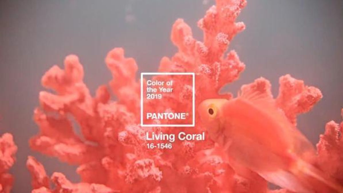 Foto dal sito ufficiale Pantone © dal-web