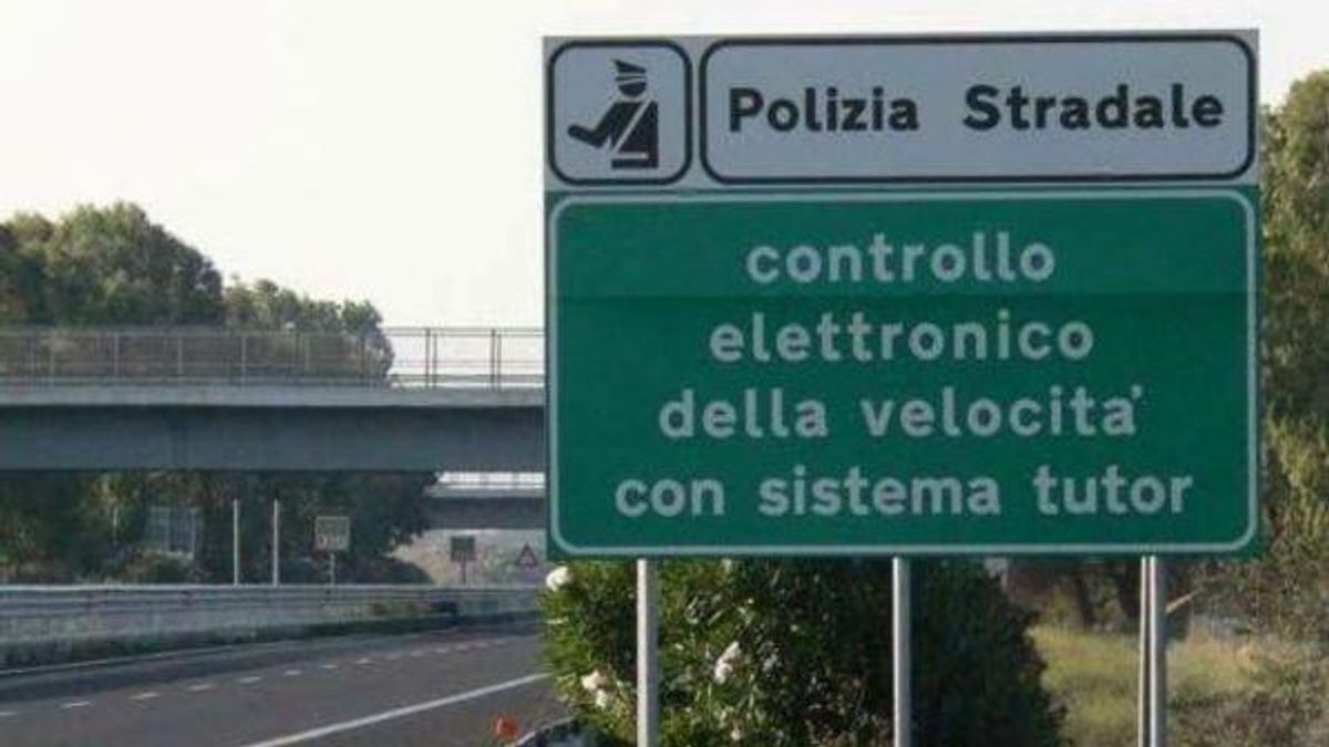  © dal-web