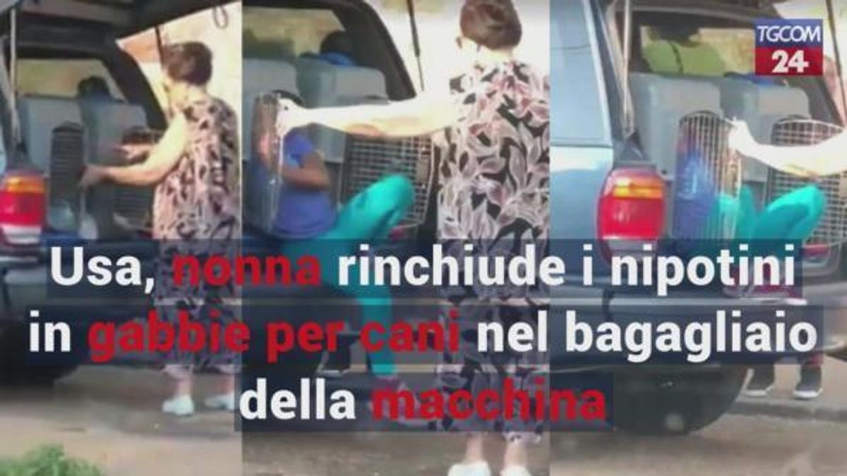  © da-video