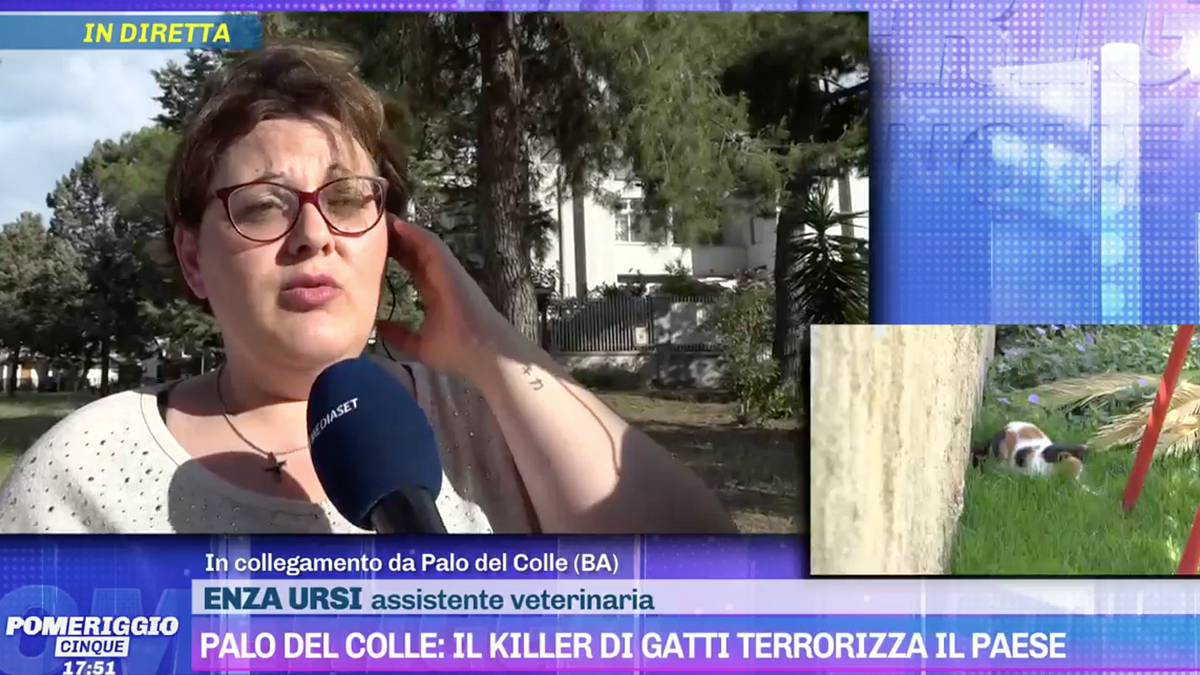  © Da video