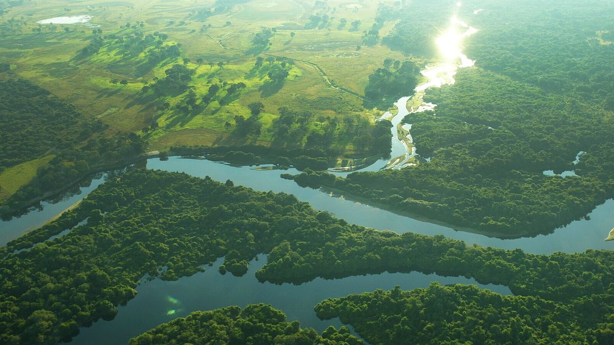   Pantanal, Brasile  © Istockphoto