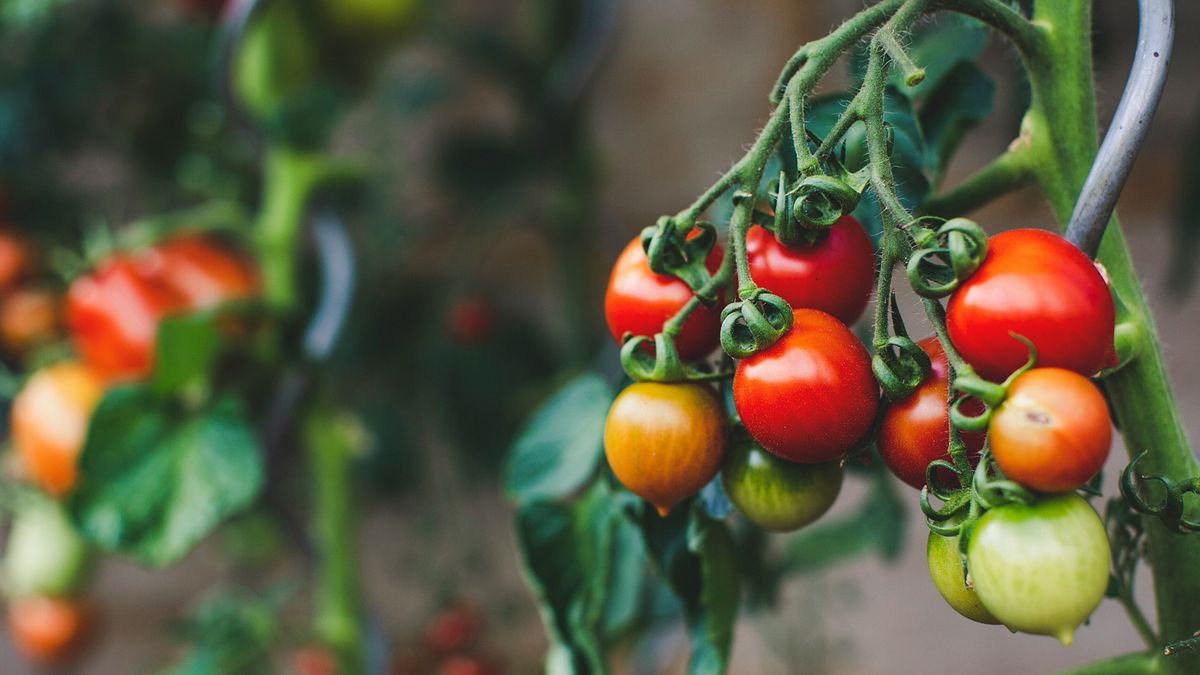  © Unsplash