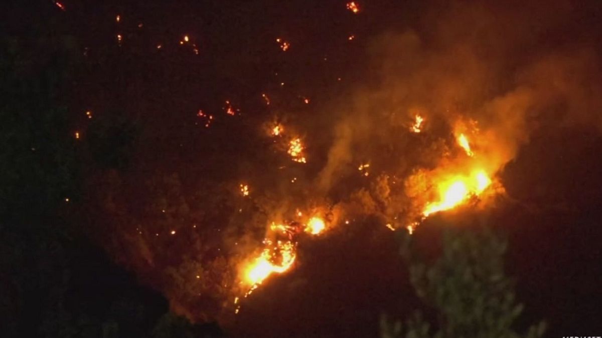 Incendi al Sud, il bilancio © Da video