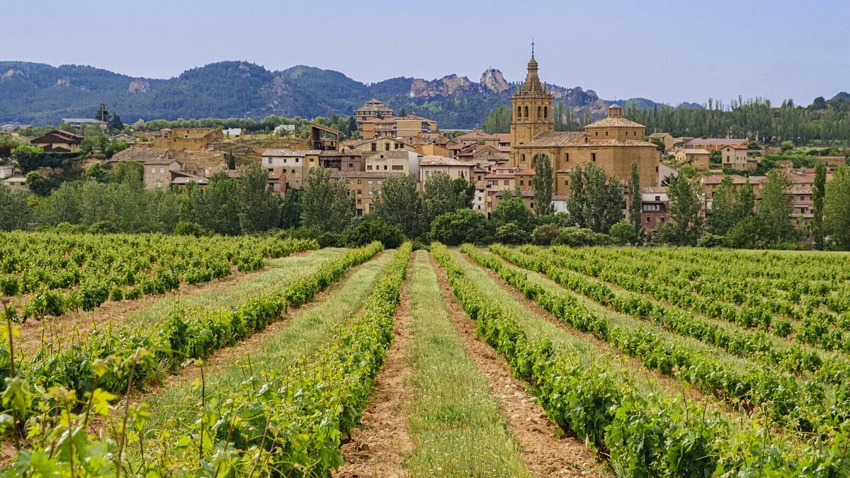  Itinerario enoturistico della Rioja Alta, La Rioja © Ente del Turismo