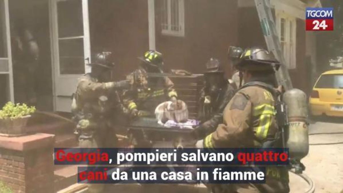  © da-video