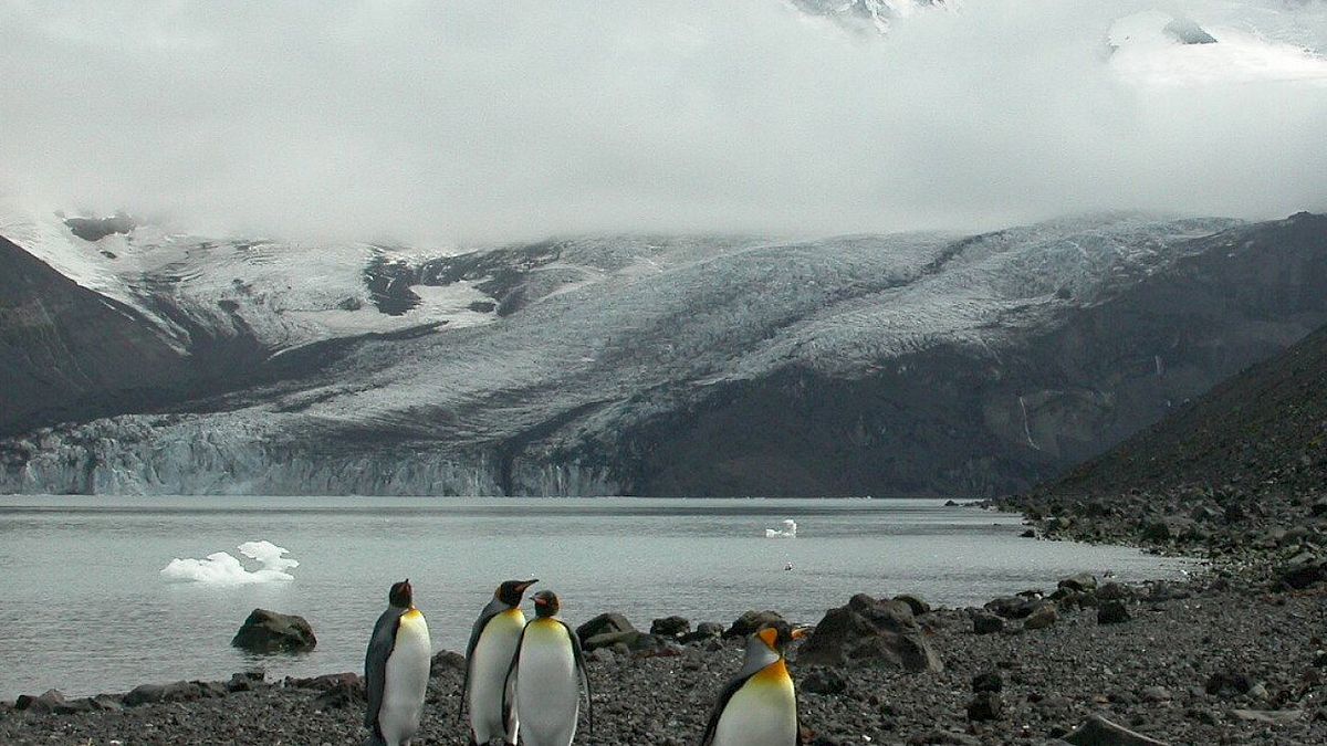  © Australian Antarctica Program - Kate Kiefer