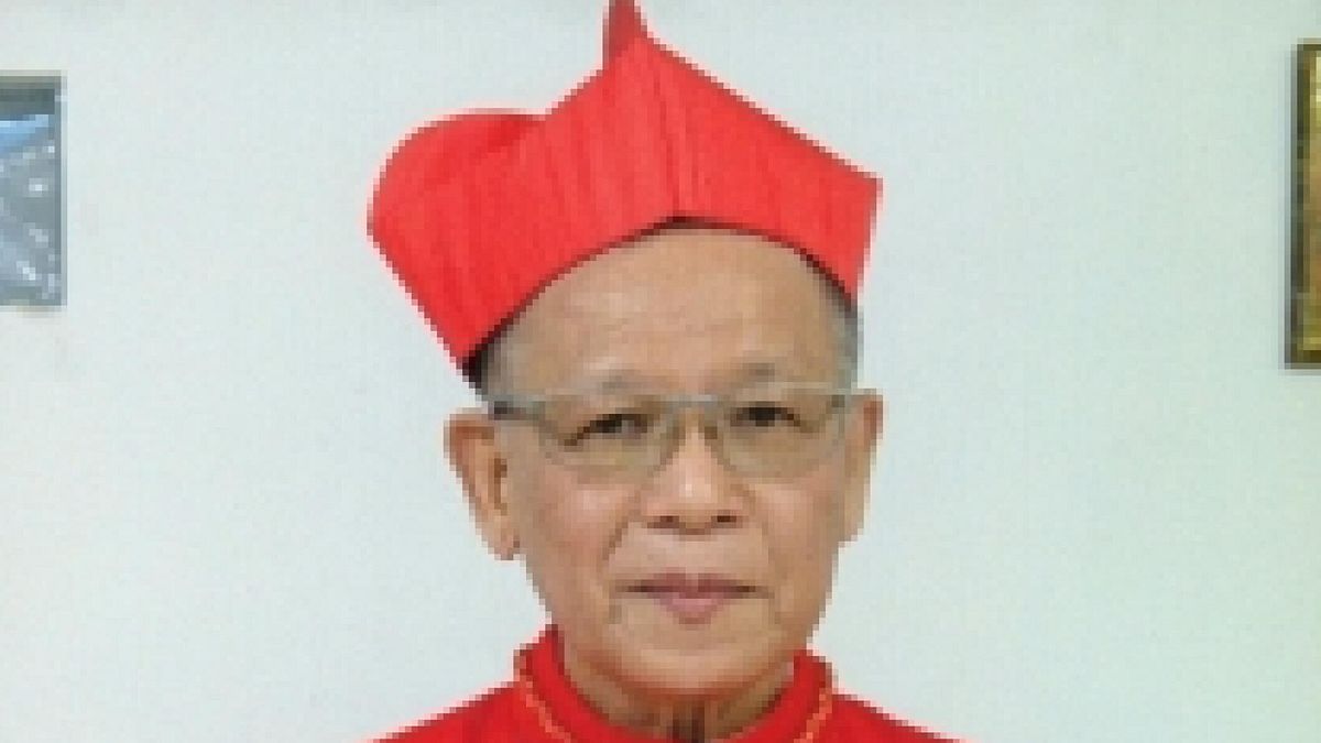 Conclave 2025, il cardinale Jose Fuerte Advincula  © Ansa