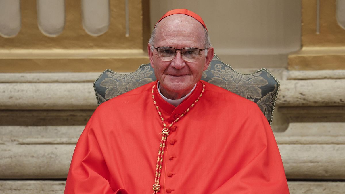 Il Cardinale Stephen Brislin © Ansa