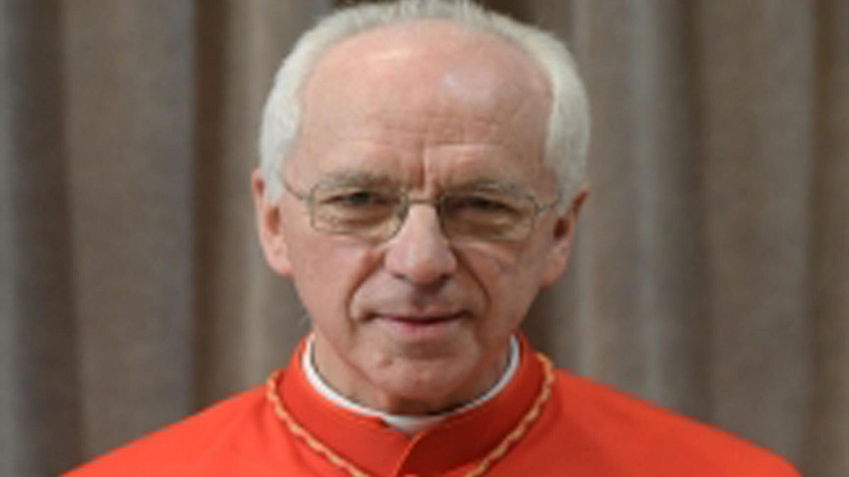 Il Cardinale Jozef De Kesel © Ansa