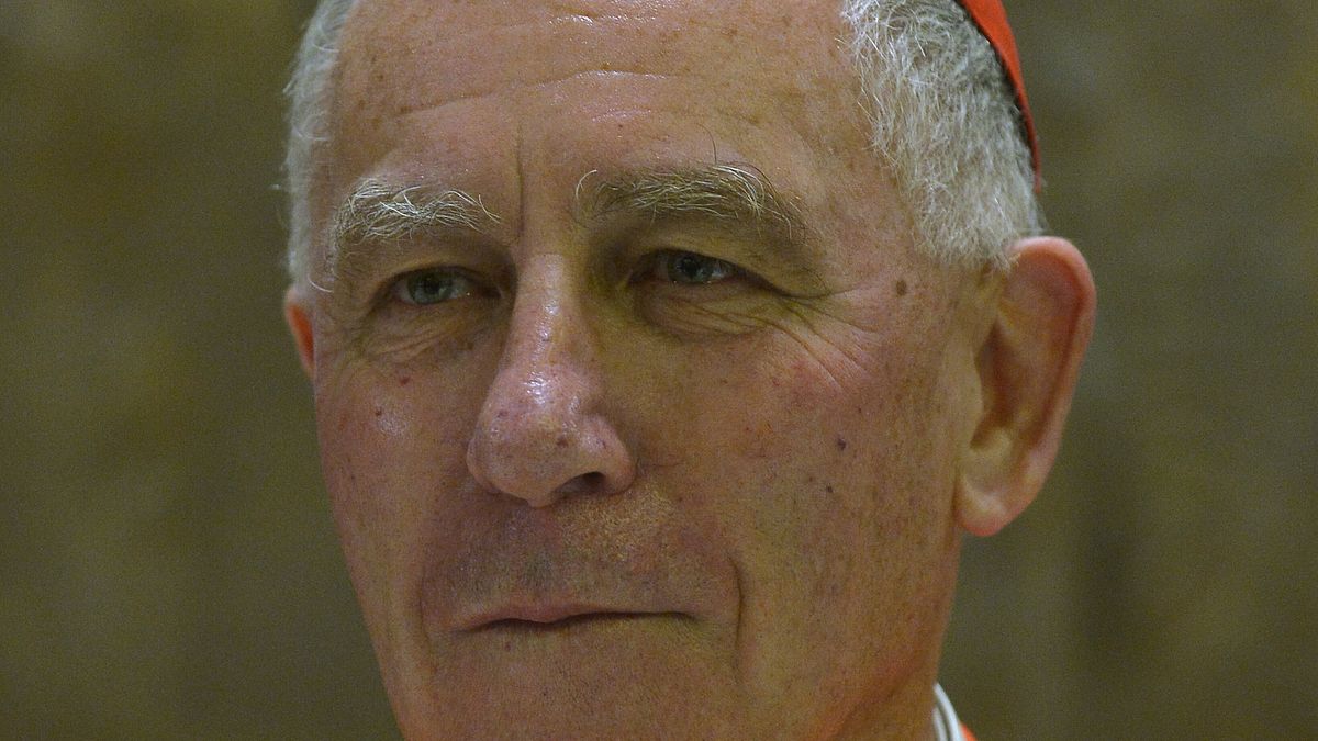 Il Cardinale John Atcherley Dew © Afp