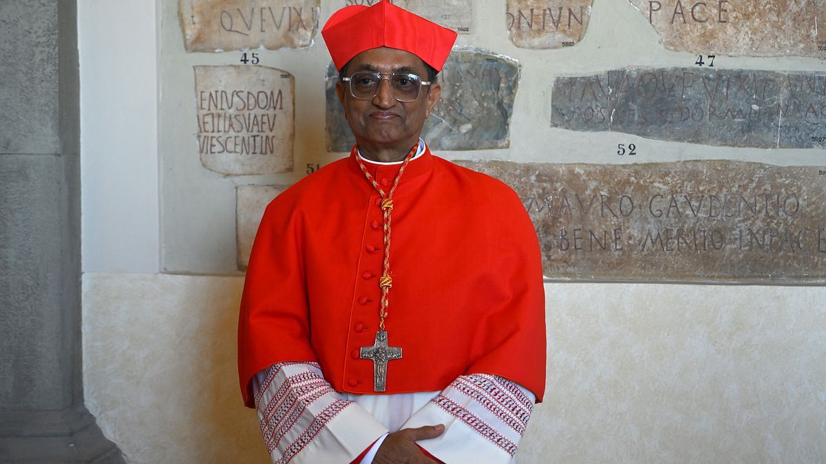 Il Cardinale Sebastian Francis © Afp