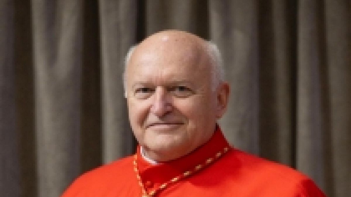 Il Cardinale Ladislav Nemet © Ansa