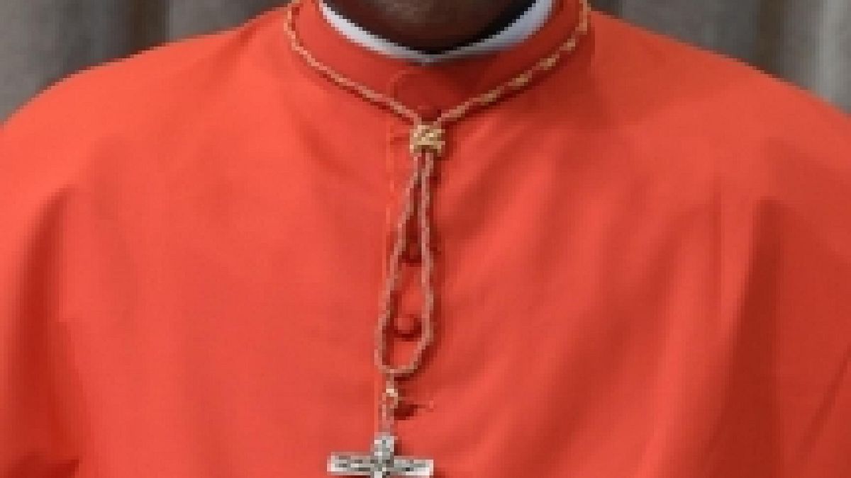 Il Cardinale Dieudonné Nzapalainga © Ansa