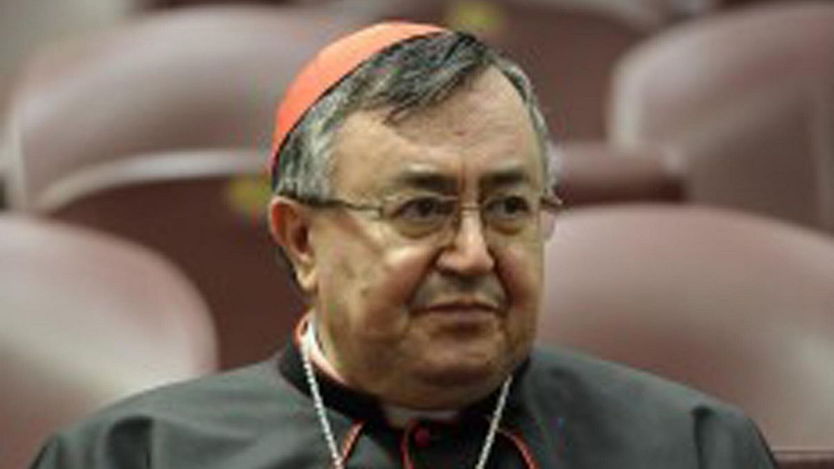 Il Cardinale Vinko Puljić © Ansa
