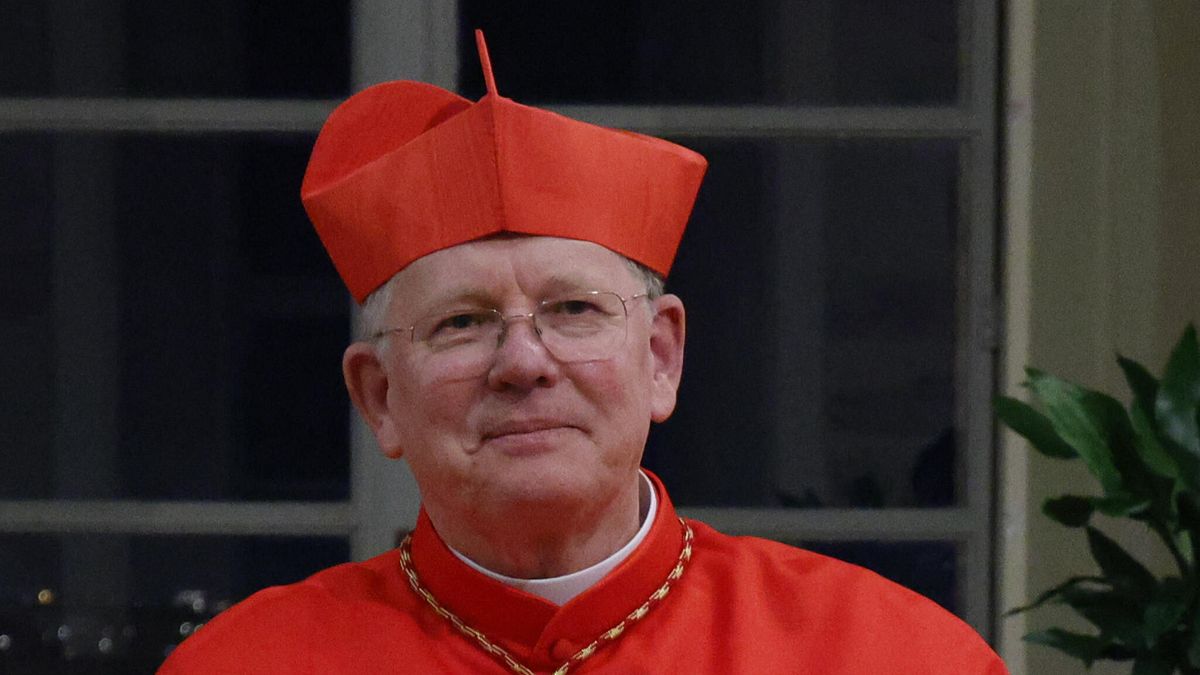 Il Cardinale Jaime Spengler © Ansa