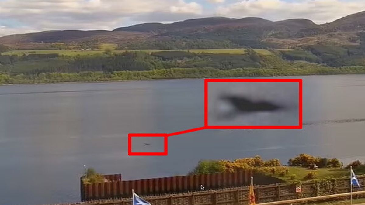  L'immagine ripresa dal celebre cacciatore di mostri Eoin O'Faodhagain: secondo lui, questo è il cucciolo del Mostro di Loch Ness © Dal Web