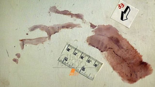 Delitto Garlasco, impronta 33 esclusa dall'incidente probatorio