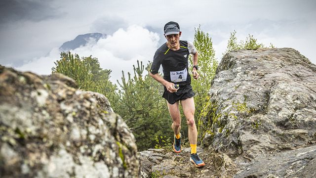 © Francesco Bergamaschi