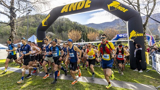 © Francesco Bergamaschi 