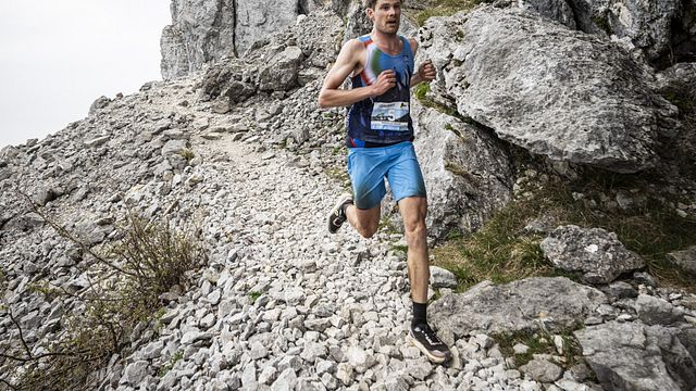 © Francesco Bergamaschi 