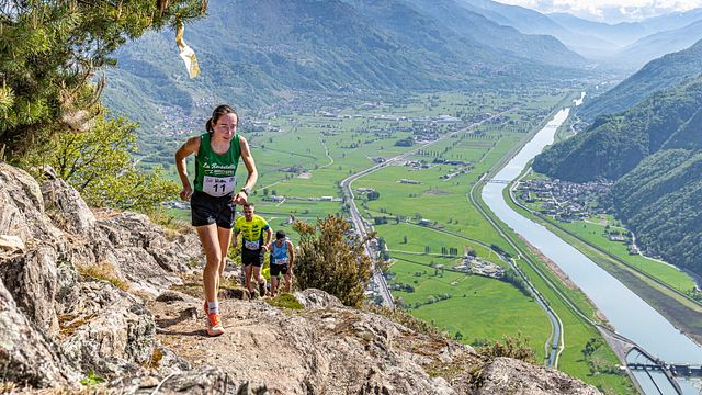 © Colmen Trail Press Office