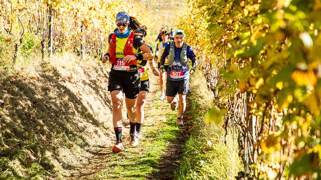 © Valtellina Wine Trail Press Office