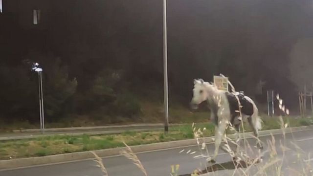 © Da video