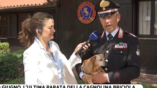 © Da video