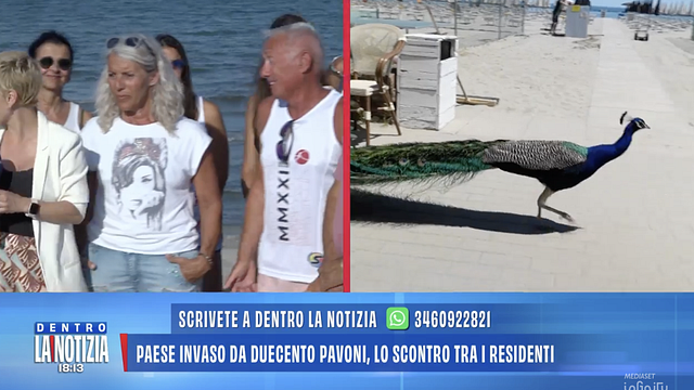 © Da video