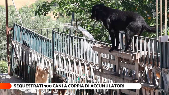© Da video