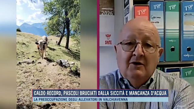© Da video
