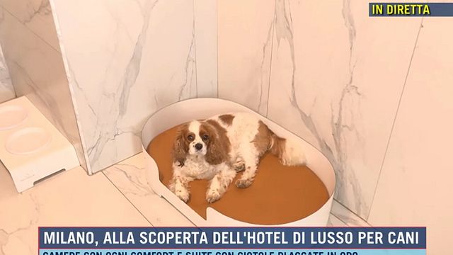 © Da video