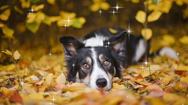 © Istockphoto