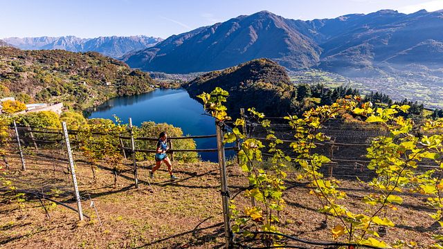 © Valle dei Segni Wine Trail Ufficio Stampa