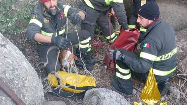 © Vigili del Fuoco